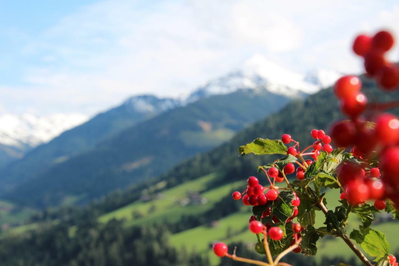 Moahof Appartement Alpbach Buitenkant foto