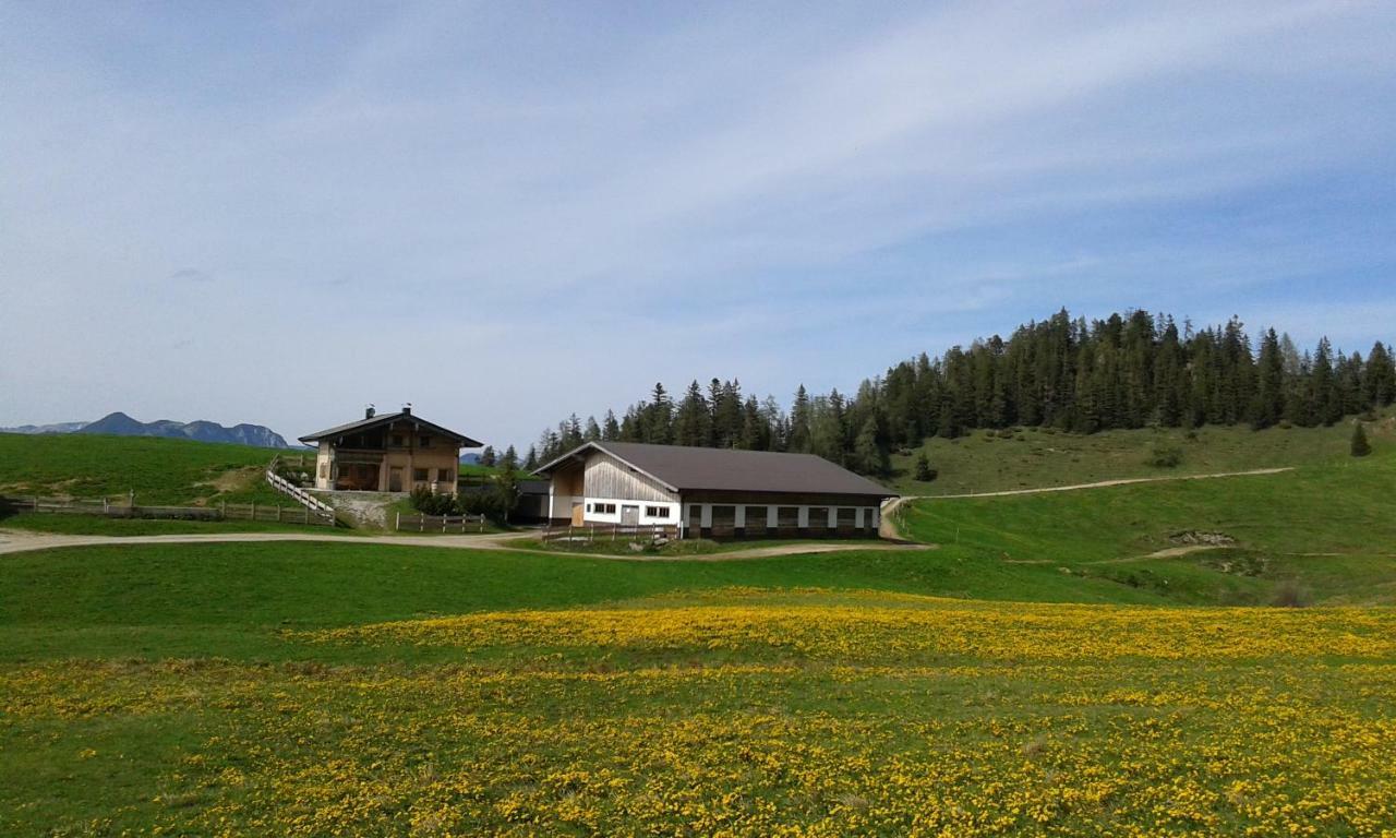 Moahof Appartement Alpbach Buitenkant foto