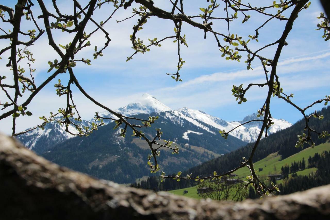 Moahof Appartement Alpbach Buitenkant foto